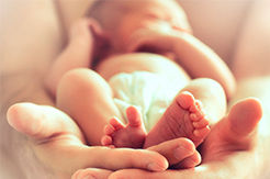 Rotelli_Post-Parto_Ensenada